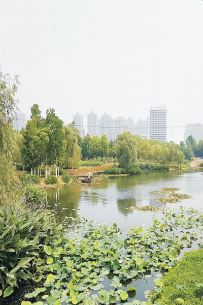 水體生態(tài)修復(fù) 