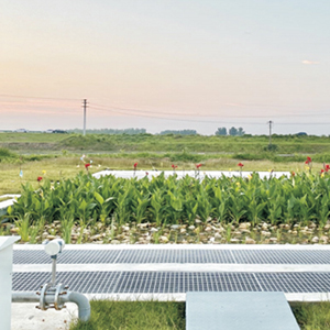 派河河水深度凈化旁路... 